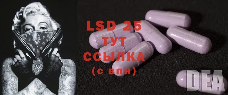 где купить наркотик  Зубцов  LSD-25 экстази ecstasy 